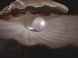 Perle d'amore