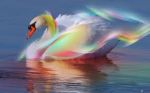 L'arcobaleno
