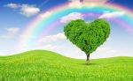 L�albero pi� bello del mondo