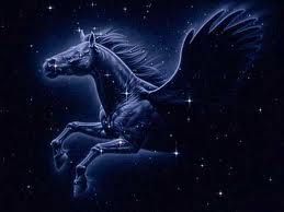 Notte  