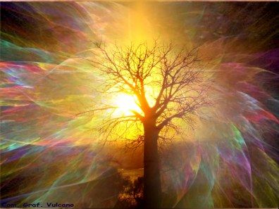 L'alba frantum� la luce
