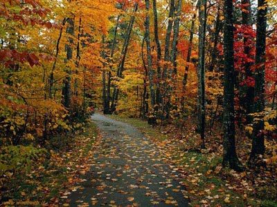 A novembre