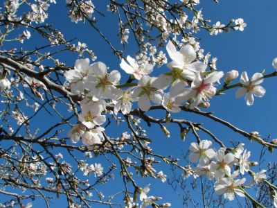 E solo allora sar� Primavera