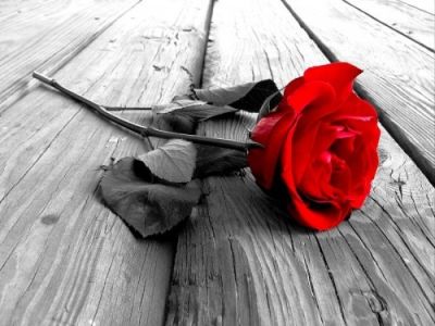 E' nel cuore il tuo riposo