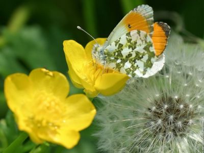 L�aria tiepida di marzo