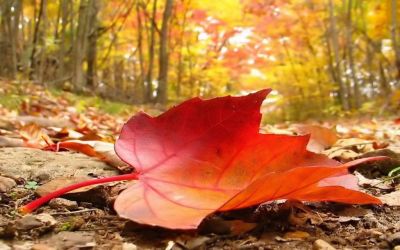 Ottobre