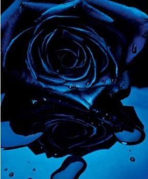 Blu caff�