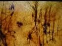 Nitrato d'argento