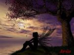 Aspettando il vento