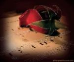 Delicate note di felicit�