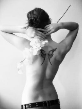 Sar� farfalla