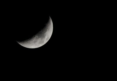 Luna infatuata  