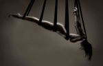 L'Equilibrista