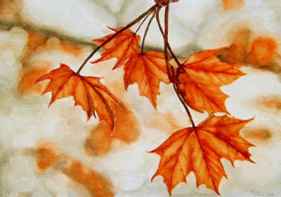 Sfumature d'autunno