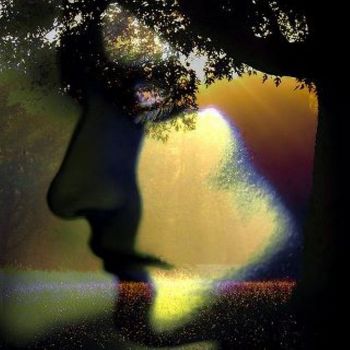 Illusioni
