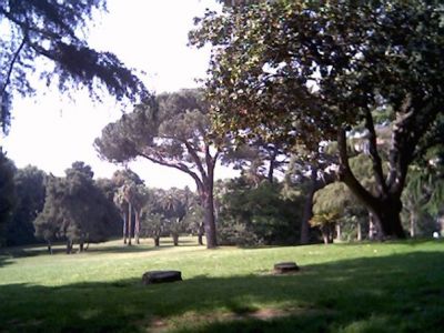 Il vecchio gigante  