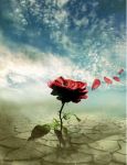 Antico Amore