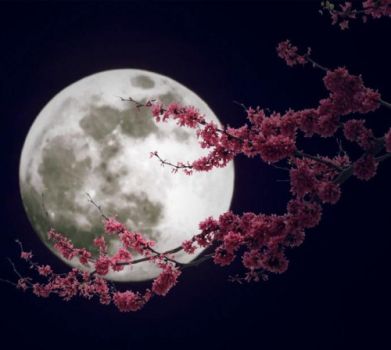 Al chiaro di luna