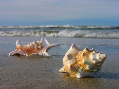 Il mare dentro