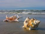Il mare dentro