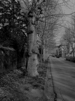 Bianco e nero