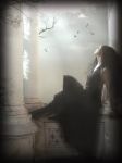 Diafana notte