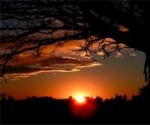 La notte era bella quella sera