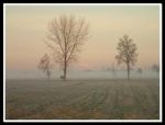 Una nebbiolina