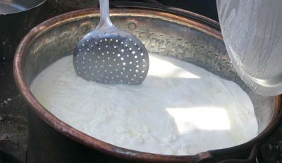 Ode alla ricotta
