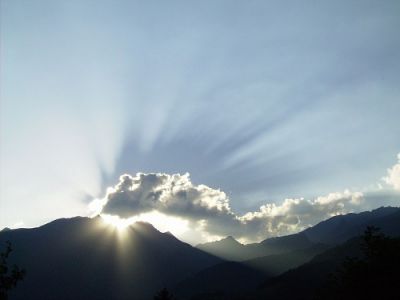 Il miracolo della vita