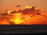 Cosa importa
