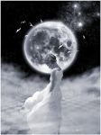 Riflessi di luna