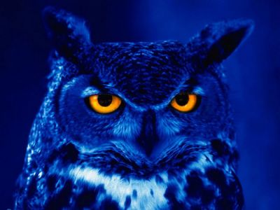 E� gia notte