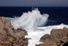 Le padrone del mare