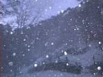 Inverno