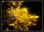 Scrivere nell'attesa