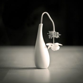 Disarmonici fiori
