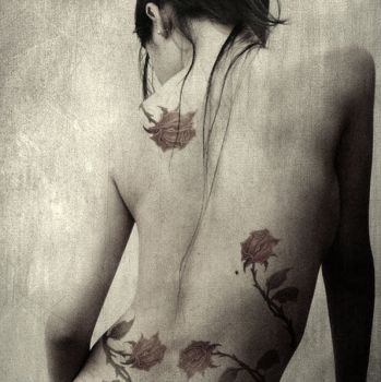 La rosa dei venti