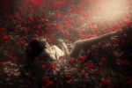 Perder� la ragione