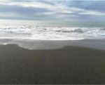 Metamorfosi sulla spiaggia