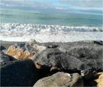 Acque marine