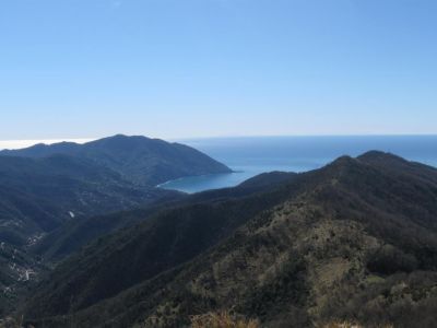 Mite � il giorno