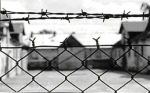 27 Gennaio. La Memoria