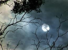 Notturno