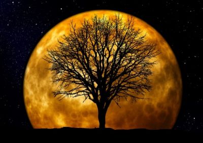"La voce del silenzio"