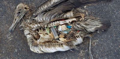 Nastro di plastica, l'arenile