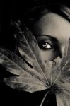 Mestizia d'autunno