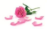T'amo per la tua felicit�