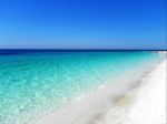 Mare