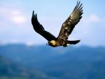 L�amore va oltre